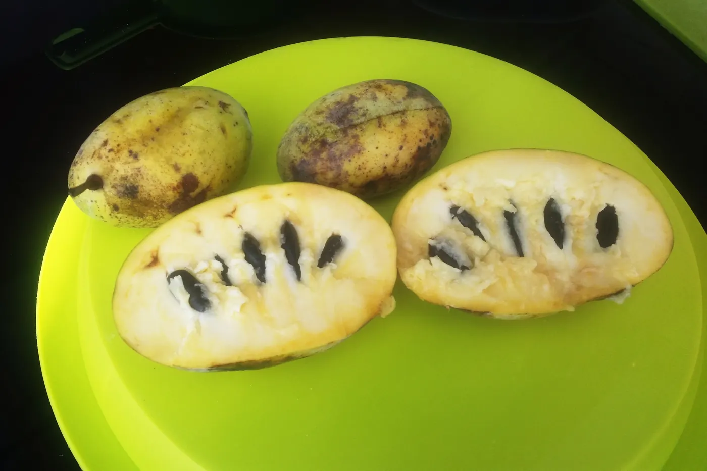 Eine aufgeschnittene frische Pawpaw mit gelbem Fruchtfleisch und dunklen Kernen