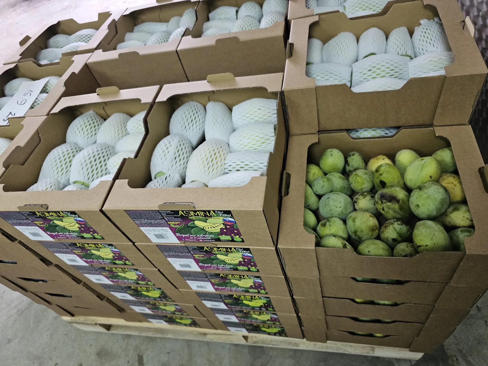 Pawpaws