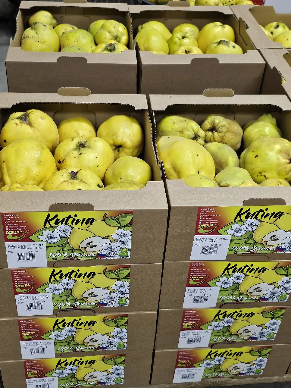 Quinces